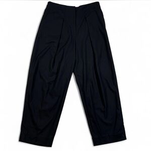 Kit and Ace Women Size 6 Wool Cashmere Silk Pleated Pants